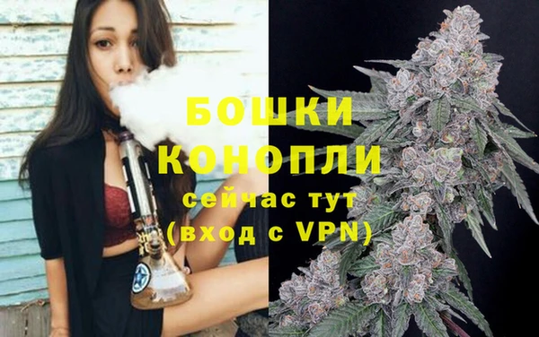 MESCALINE Аркадак