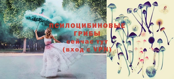 гашик Арсеньев