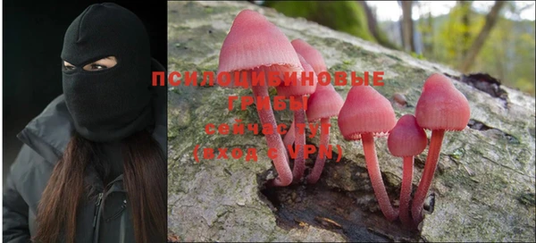 MESCALINE Аркадак