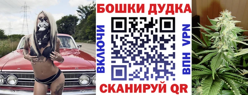 купить Теберда МАРИХУАНА семена